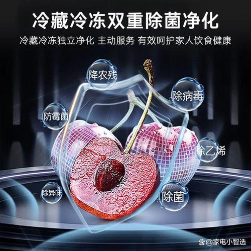 冰箱是现代家庭不可或缺的家用电器,如何在众多品牌中找到适合自己的
